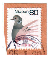 yaeyama25.jpg