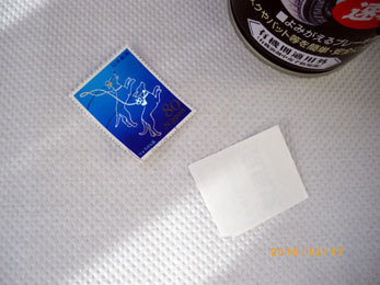 IMGP0099.jpg