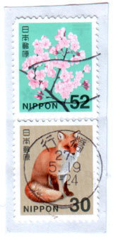 kitu30ki.jpg