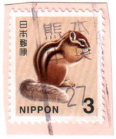 kuma3.jpg