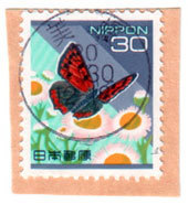 mihoro20.jpg