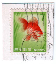 nazokoshig.jpg