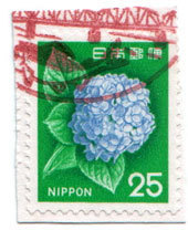 omote25.jpg