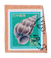 shiru62.jpg