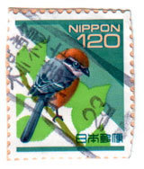 tokyu23.jpg