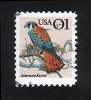 usa01.jpg